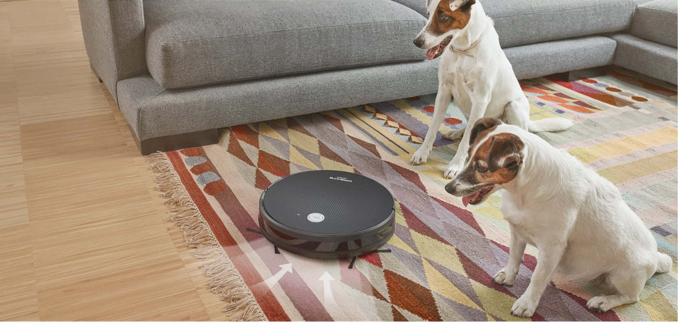 Netbot S15, modelos wifi