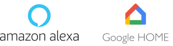 Amazon Alexa / Google Home