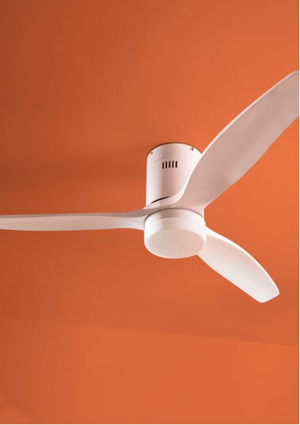 Ventiladores de techo