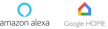 Amazon Alexa / Google Home